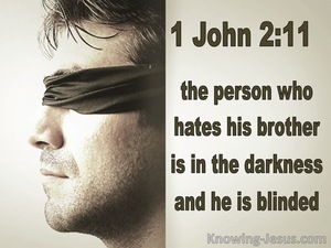 1 John 2:11